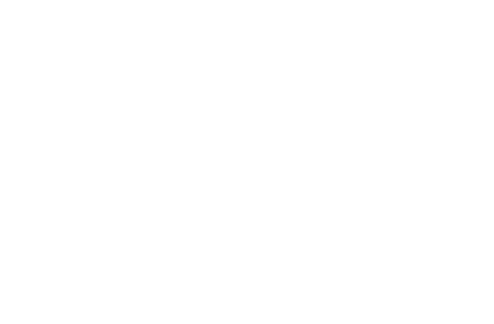 NOVELIO
